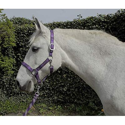 Rhinegold Carnival Headcollar & Rope Karnevals-Halfter und Seil, Violett Check, Kaltblut/Warmblut extragroß Rhinegold Carnival Headcollar & Rope Karnevals-Halfter und Seil, Violett Check, Kaltblut/Warmblut extragroß