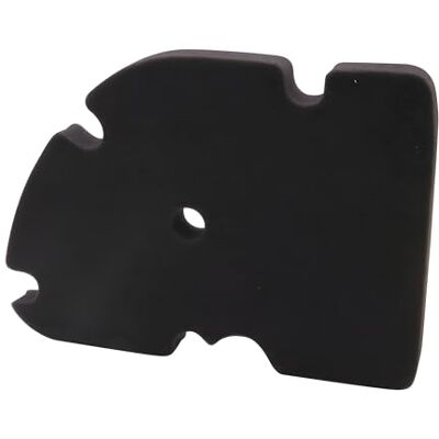 PIAGGIO Luftfilter OEM für MP3, X8, X9, Vespa GT, GTS, GTV, LX, LXV, S PIAGGIO Luftfilter OEM für MP3, X8, X9, Vespa GT, GTS, GTV, LX, LXV, S