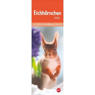Heye Eichhörnchen Lesezeichen & Kalender 2025: Süße kleine Aufmerksamkeit zu Weihnachten für Tierfreunde: Niedliche Eichhörnchenfotos, praktischer kleiner ... in einem! (Lesezeichen & Kalender ) Heye Eichhörnchen Lesezeichen & Kalender 2025: Süße kleine Aufmerksamkeit zu Weihnachten für Tierfreunde: Niedliche Eichhörnchenfotos, praktischer kleiner ... in einem! (Lesezeichen & Kalender )