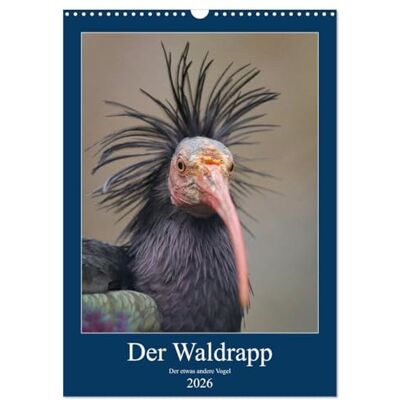 CALVENDO Der Waldrapp Der etwas andere Vogel (Wandkalender 2026 DIN A3 hoch), Monatskalender: Wundervolle Fotografien vom Waldrapp ( Tiere) CALVENDO Der Waldrapp Der etwas andere Vogel (Wandkalender 2026 DIN A3 hoch), Monatskalender: Wundervolle Fotografien vom Waldrapp ( Tiere)