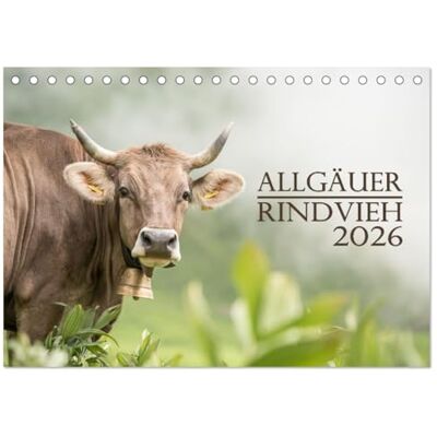 CALVENDO Allgäuer Rindvieh 2026 (Tischkalender 2026 DIN A5 quer), Monatskalender: Ein Kalender für alle Allgäu- und Kuhliebhaber. ( Tiere) CALVENDO Allgäuer Rindvieh 2026 (Tischkalender 2026 DIN A5 quer), Monatskalender: Ein Kalender für alle Allgäu- und Kuhliebhaber. ( Tiere)