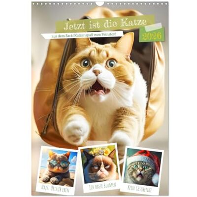 CALVENDO Jetzt ist die Katze aus dem Sack! Katzenspaß vom Feinsten! (Wandkalender 2026 DIN A3 hoch), Monatskalender: Diese lustigen Stubentiger bringen Freude in den Alltag! ( Tiere) CALVENDO Jetzt ist die Katze aus dem Sack! Katzenspaß vom Feinsten! (Wandkalender 2026 DIN A3 hoch), Monatskalender: Diese lustigen Stubentiger bringen Freude in den Alltag! ( Tiere)