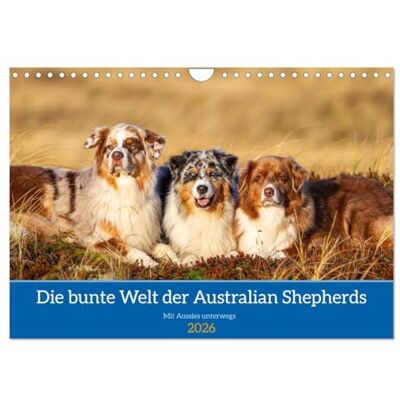 CALVENDO Mit Aussies unterwegs Die bunte Welt der Australian Shepherds (Wandkalender 2026 DIN A4 quer), Monatskalender: Ein Kalender der bunten ... in Action und im Portrait ( Tiere) CALVENDO Mit Aussies unterwegs Die bunte Welt der Australian Shepherds (Wandkalender 2026 DIN A4 quer), Monatskalender: Ein Kalender der bunten ... in Action und im Portrait ( Tiere)