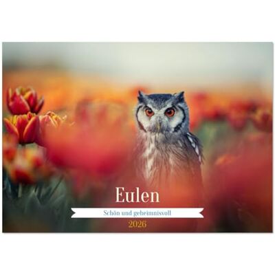 CALVENDO Eulen schön und geheimnisvoll (Wandkalender 2026 DIN A4 quer), Monatskalender: Faszinierende Eulen in einzigartigen Bildern ( Tiere) CALVENDO Eulen schön und geheimnisvoll (Wandkalender 2026 DIN A4 quer), Monatskalender: Faszinierende Eulen in einzigartigen Bildern ( Tiere)
