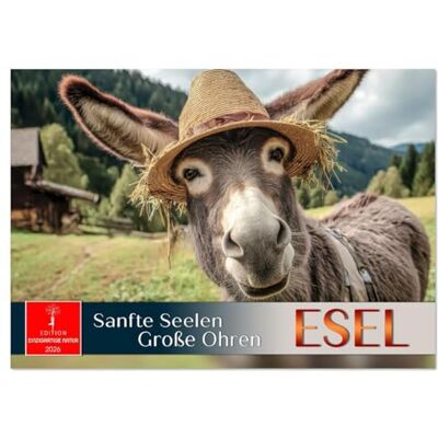 CALVENDO Esel sanfte Seelen, große Ohren (Wandkalender 2026 DIN A3 quer), Monatskalender: Langohrige Stars charmant in Szene gesetzt. ( Tiere) CALVENDO Esel sanfte Seelen, große Ohren (Wandkalender 2026 DIN A3 quer), Monatskalender: Langohrige Stars charmant in Szene gesetzt. ( Tiere)