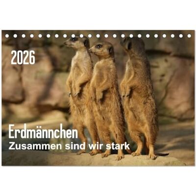 CALVENDO Erdmännchen – Zusammen sind wir stark (Tischkalender 2026 DIN A5 quer), Monatskalender: Bilder vom Erdmännchen-Alltag ( Tiere) CALVENDO Erdmännchen – Zusammen sind wir stark (Tischkalender 2026 DIN A5 quer), Monatskalender: Bilder vom Erdmännchen-Alltag ( Tiere)