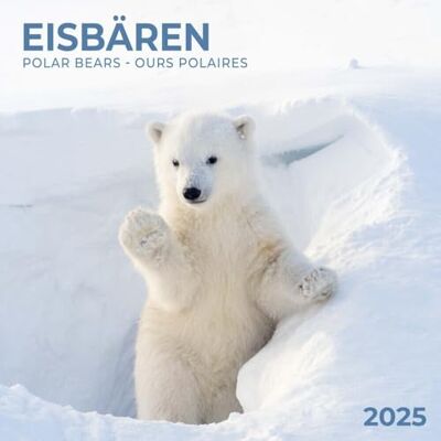 Tushita PaperArt GmbH Polar Bears/Eisbärchen 2025: Kalender 2025 (Artwork Edition) Tushita PaperArt GmbH Polar Bears/Eisbärchen 2025: Kalender 2025 (Artwork Edition)