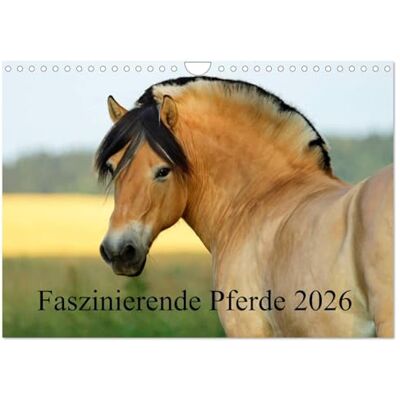 CALVENDO Faszinierende Pferde 2026 (Wandkalender 2026 DIN A4 quer), Monatskalender: Die schönsten Pferderassen eindrucksvoll fotografiert! ( Tiere) CALVENDO Faszinierende Pferde 2026 (Wandkalender 2026 DIN A4 quer), Monatskalender: Die schönsten Pferderassen eindrucksvoll fotografiert! ( Tiere)