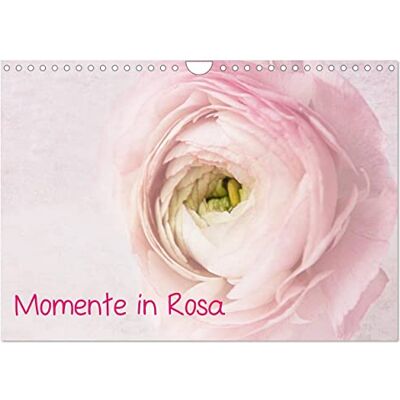 CALVENDO Momente in Rosa (Wandkalender 2026 DIN A4 quer), Monatskalender: Alles in Rosa, Florales, Stillleben, Meditation...Wellness für die Seele ( Natur) CALVENDO Momente in Rosa (Wandkalender 2026 DIN A4 quer), Monatskalender: Alles in Rosa, Florales, Stillleben, Meditation...Wellness für die Seele ( Natur)