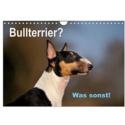 CALVENDO Bullterrier? Was sonst! (Wandkalender 2026 DIN A4 quer), Monatskalender: Ein toller Kalender für Fans der Rasse Bullterrier. Sehr schön in ... Yvonne Janetzek ( Tiere) CALVENDO Bullterrier? Was sonst! (Wandkalender 2026 DIN A4 quer), Monatskalender: Ein toller Kalender für Fans der Rasse Bullterrier. Sehr schön in ... Yvonne Janetzek ( Tiere)