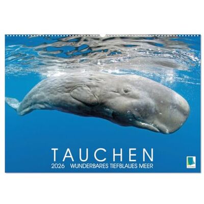 CALVENDO Tauchen: Wunderbares tiefblaues Meer (Wandkalender 2026 DIN A2 quer), Monatskalender: Großartige Unterwasseraufnahmen in der blauen Tiefe: Faszination Tauchen ( Sport) CALVENDO Tauchen: Wunderbares tiefblaues Meer (Wandkalender 2026 DIN A2 quer), Monatskalender: Großartige Unterwasseraufnahmen in der blauen Tiefe: Faszination Tauchen ( Sport)