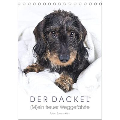 CALVENDO Der Dackel (Tischkalender 2026 DIN A5 hoch), Monatskalender: Ein bezaubernder Dackel begleitetet Sie durchs Jahr ( Tiere) CALVENDO Der Dackel (Tischkalender 2026 DIN A5 hoch), Monatskalender: Ein bezaubernder Dackel begleitetet Sie durchs Jahr ( Tiere)