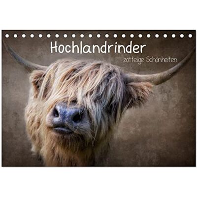 CALVENDO Hochlandrinder Zottelige Schönheiten (Tischkalender 2026 DIN A5 quer), Monatskalender: Die Models unter den Kühen in eindrucksvollen Bildern ( Tiere) CALVENDO Hochlandrinder Zottelige Schönheiten (Tischkalender 2026 DIN A5 quer), Monatskalender: Die Models unter den Kühen in eindrucksvollen Bildern ( Tiere)