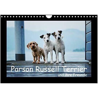 CALVENDO Parson Russell Terrier (Wandkalender 2026 DIN A4 quer), Monatskalender: ...und ihre Freunde ( Tiere) CALVENDO Parson Russell Terrier (Wandkalender 2026 DIN A4 quer), Monatskalender: ...und ihre Freunde ( Tiere)