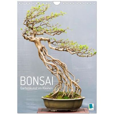 CALVENDO Bonsai: Gartenkunst im Kleinen (Wandkalender 2026 DIN A4 hoch), Monatskalender: Japanische und chinesische Gartenkunst Bonsai Bäumchen ( Hobbys) CALVENDO Bonsai: Gartenkunst im Kleinen (Wandkalender 2026 DIN A4 hoch), Monatskalender: Japanische und chinesische Gartenkunst Bonsai Bäumchen ( Hobbys)