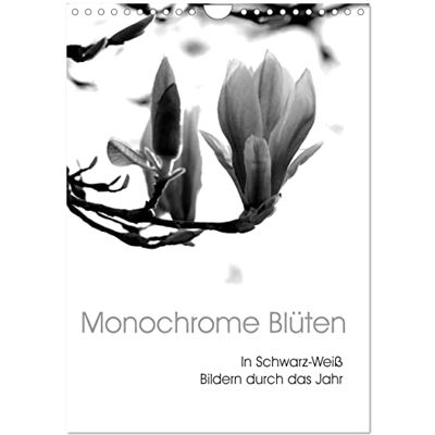 CALVENDO Monochrome Blüten In Schwarz-Weiß Bildern durch das Jahr (Wandkalender 2026 DIN A4 hoch), Monatskalender ( Natur) CALVENDO Monochrome Blüten In Schwarz-Weiß Bildern durch das Jahr (Wandkalender 2026 DIN A4 hoch), Monatskalender ( Natur)