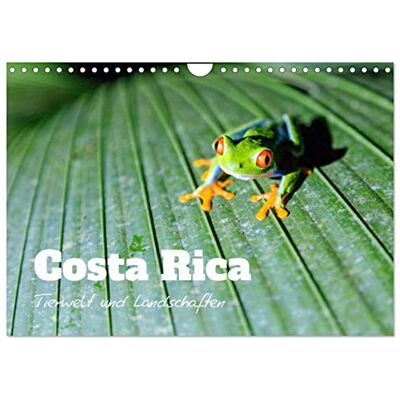 CALVENDO Costa Rica Tierwelt und Landschaften (Wandkalender 2026 DIN A4 quer), Monatskalender: Bunte Naturwunder aus Mittelamerika ( Natur) CALVENDO Costa Rica Tierwelt und Landschaften (Wandkalender 2026 DIN A4 quer), Monatskalender: Bunte Naturwunder aus Mittelamerika ( Natur)