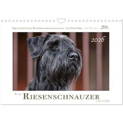 CALVENDO Mit dem Riesenschnauzer durch das Jahr (Wandkalender 2026 DIN A4 quer), Monatskalender: Riesenschnauzer schwarz ( Tiere) CALVENDO Mit dem Riesenschnauzer durch das Jahr (Wandkalender 2026 DIN A4 quer), Monatskalender: Riesenschnauzer schwarz ( Tiere)