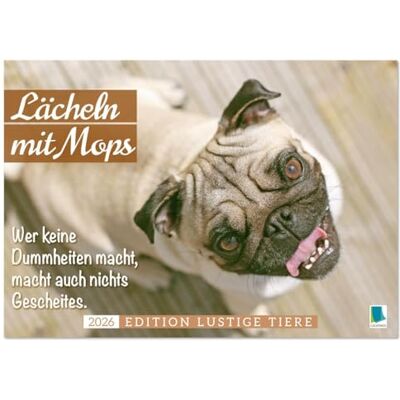 CALVENDO Lächeln mit Mops (Tischkalender 2026 DIN A5 quer), Monatskalender: Heiter bis mopsig: ein Sprüchekalender gegen Perfektionismus und Selbstoptimierung ( Spass) CALVENDO Lächeln mit Mops (Tischkalender 2026 DIN A5 quer), Monatskalender: Heiter bis mopsig: ein Sprüchekalender gegen Perfektionismus und Selbstoptimierung ( Spass)