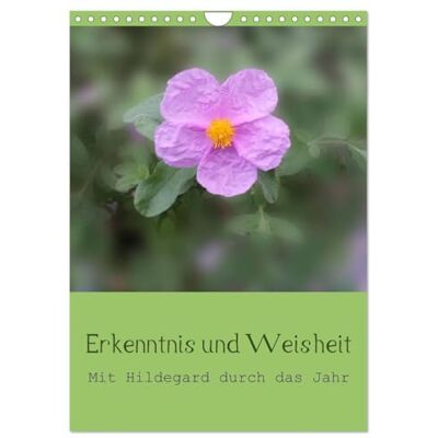 CALVENDO Erkenntnis und Weisheit Hildegard von Bingen (Wandkalender 2026 DIN A4 hoch), Monatskalender: Mit den Erkenntnissen und der Weisheit Hildegard von Bingens durch das Jahr. ( Glaube) CALVENDO Erkenntnis und Weisheit Hildegard von Bingen (Wandkalender 2026 DIN A4 hoch), Monatskalender: Mit den Erkenntnissen und der Weisheit Hildegard von Bingens durch das Jahr. ( Glaube)