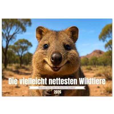 CALVENDO Die vielleicht nettesten Wildtiere (Tischkalender 2026 DIN A5 quer), Monatskalender: Quokkas zeigen, wie frech und freundlich Wildtiere sein ... für ein neugieriges Grinsen ( Tiere) CALVENDO Die vielleicht nettesten Wildtiere (Tischkalender 2026 DIN A5 quer), Monatskalender: Quokkas zeigen, wie frech und freundlich Wildtiere sein ... für ein neugieriges Grinsen ( Tiere)