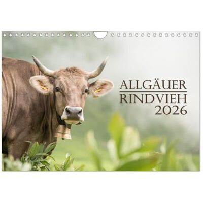CALVENDO Allgäuer Rindvieh 2026 (Wandkalender 2026 DIN A4 quer), Monatskalender: Ein Kalender für alle Allgäu- und Kuhliebhaber. ( Tiere) CALVENDO Allgäuer Rindvieh 2026 (Wandkalender 2026 DIN A4 quer), Monatskalender: Ein Kalender für alle Allgäu- und Kuhliebhaber. ( Tiere)