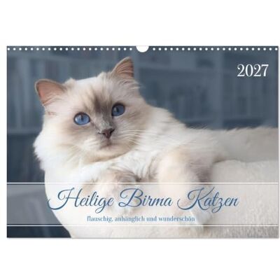 CALVENDO Kalender 2027 · Heilige Birma Katzen flauschig, anhänglich und wunderschön · Aufnahmen wunderschöner Heilige Birma Katzen · DIN A3 quer · Wandkalender CALVENDO Kalender 2027 · Heilige Birma Katzen flauschig, anhänglich und wunderschön · Aufnahmen wunderschöner Heilige Birma Katzen · DIN A3 quer · Wandkalender