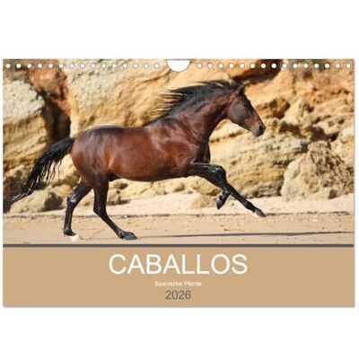 CALVENDO Caballos Spanische Pferde 2026 (Wandkalender 2026 DIN A4 quer), Monatskalender: Begeben Sie sich auf eine kleine Reise und entdecken Sie die ... Pferde in Andalusien ... ( Tiere) CALVENDO Caballos Spanische Pferde 2026 (Wandkalender 2026 DIN A4 quer), Monatskalender: Begeben Sie sich auf eine kleine Reise und entdecken Sie die ... Pferde in Andalusien ... ( Tiere)