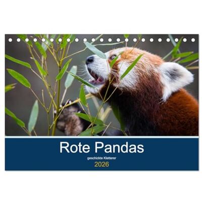 CALVENDO Rote Pandas geschickte Kletterer (Tischkalender 2026 DIN A5 quer), Monatskalender: Bilder eines akrobatischen Kletterers ( Tiere) CALVENDO Rote Pandas geschickte Kletterer (Tischkalender 2026 DIN A5 quer), Monatskalender: Bilder eines akrobatischen Kletterers ( Tiere)