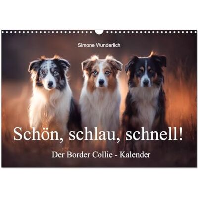 CALVENDO Schön, schlau, schnell! Der Border Collie Kalender (Wandkalender 2026 DIN A3 quer), Monatskalender: Border Collies: Geniale Pfoten und kluge Köpfe! ( Tiere) CALVENDO Schön, schlau, schnell! Der Border Collie Kalender (Wandkalender 2026 DIN A3 quer), Monatskalender: Border Collies: Geniale Pfoten und kluge Köpfe! ( Tiere)
