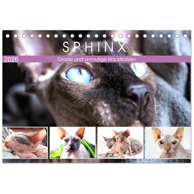 CALVENDO Sphinx. Grazile und anmutige Nacktkatzen (Tischkalender 2026 DIN A5 quer), Monatskalender: Die zierliche Sphynx Katze gehört zu den liebevollsten Katzenrassen der Welt ( Tiere) CALVENDO Sphinx. Grazile und anmutige Nacktkatzen (Tischkalender 2026 DIN A5 quer), Monatskalender: Die zierliche Sphynx Katze gehört zu den liebevollsten Katzenrassen der Welt ( Tiere)