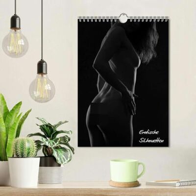 CALVENDO Erotische Silhouetten/CH-Version (Wandkalender 2026 DIN A4 hoch), Monatskalender: Das Spiel mit Licht und Schatten ( Erotik) CALVENDO Erotische Silhouetten/CH-Version (Wandkalender 2026 DIN A4 hoch), Monatskalender: Das Spiel mit Licht und Schatten ( Erotik)