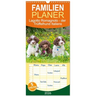 CALVENDO Familienplaner 2026 Lagotto Romagnolo der Trüffelhund Italiens mit 5 Spalten (Wandkalender, 21 cm x 45 cm), : 13 traumhafte Fotos von ... der Rasse durch das Jahr ( Tiere) CALVENDO Familienplaner 2026 Lagotto Romagnolo der Trüffelhund Italiens mit 5 Spalten (Wandkalender, 21 cm x 45 cm), : 13 traumhafte Fotos von ... der Rasse durch das Jahr ( Tiere)