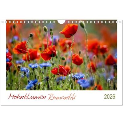 CALVENDO Mohnblumen Romantik (Wandkalender 2026 DIN A4 quer), Monatskalender: Mohnblumenfelder und Blüten ( Orte) CALVENDO Mohnblumen Romantik (Wandkalender 2026 DIN A4 quer), Monatskalender: Mohnblumenfelder und Blüten ( Orte)