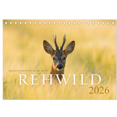 CALVENDO Rehwild 2026 (Tischkalender 2026 DIN A5 quer), Monatskalender: Das scheue Wildtier durch das Jahr ( Tiere) CALVENDO Rehwild 2026 (Tischkalender 2026 DIN A5 quer), Monatskalender: Das scheue Wildtier durch das Jahr ( Tiere)