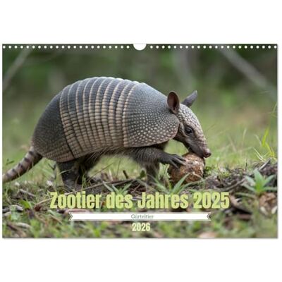 CALVENDO Zootier des Jahres 2025 Gürteltier (Wandkalender 2026 DIN A3 quer), Monatskalender: Faszinierende Einblicke in die Welt der Gürteltiere. ( Tiere) CALVENDO Zootier des Jahres 2025 Gürteltier (Wandkalender 2026 DIN A3 quer), Monatskalender: Faszinierende Einblicke in die Welt der Gürteltiere. ( Tiere)