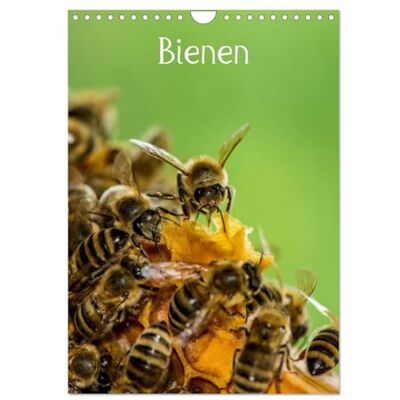 CALVENDO Bienen (Wandkalender 2026 DIN A4 hoch), Monatskalender: Bienen für das ganze Jahr ( Tiere) CALVENDO Bienen (Wandkalender 2026 DIN A4 hoch), Monatskalender: Bienen für das ganze Jahr ( Tiere)