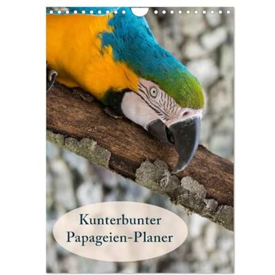 CALVENDO Kunterbunter Papageien-Planer (Wandkalender 2026 DIN A4 hoch), Monatskalender: Planer mit kunterbunten Papageien ( Tiere) CALVENDO Kunterbunter Papageien-Planer (Wandkalender 2026 DIN A4 hoch), Monatskalender: Planer mit kunterbunten Papageien ( Tiere)