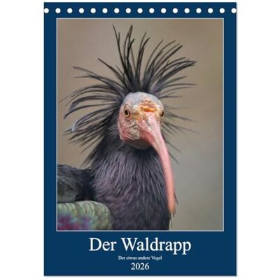 CALVENDO Der Waldrapp Der etwas andere Vogel (Tischkalender 2026 DIN A5 hoch), Monatskalender: Wundervolle Fotografien vom Waldrapp ( Tiere) CALVENDO Der Waldrapp Der etwas andere Vogel (Tischkalender 2026 DIN A5 hoch), Monatskalender: Wundervolle Fotografien vom Waldrapp ( Tiere)