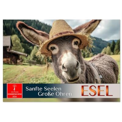 CALVENDO Esel sanfte Seelen, große Ohren (Tischkalender 2026 DIN A5 quer), Monatskalender: Langohrige Stars charmant in Szene gesetzt. ( Tiere) CALVENDO Esel sanfte Seelen, große Ohren (Tischkalender 2026 DIN A5 quer), Monatskalender: Langohrige Stars charmant in Szene gesetzt. ( Tiere)