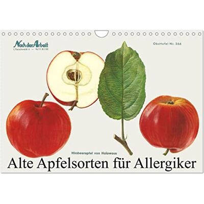 CALVENDO Alte Apfelsorten für Allergiker (Wandkalender 2026 DIN A4 quer), Monatskalender CALVENDO Alte Apfelsorten für Allergiker (Wandkalender 2026 DIN A4 quer), Monatskalender