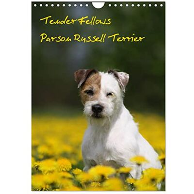 CALVENDO Tender Fellows Parson Russell Terrier (Wandkalender 2026 DIN A4 hoch), Monatskalender: Unsere fröhliche Terrierbande hat auch in 2017 viel erlebt. ( Tiere) CALVENDO Tender Fellows Parson Russell Terrier (Wandkalender 2026 DIN A4 hoch), Monatskalender: Unsere fröhliche Terrierbande hat auch in 2017 viel erlebt. ( Tiere)