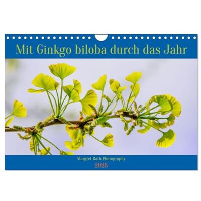 CALVENDO Mit Ginkgo biloba durch das Jahr (Wandkalender 2026 DIN A4 quer), Monatskalender: Mit seinen einzigartigen, fächerförmigen Blättern ist der ... und Gärten eine Augenweide. ( Natur) CALVENDO Mit Ginkgo biloba durch das Jahr (Wandkalender 2026 DIN A4 quer), Monatskalender: Mit seinen einzigartigen, fächerförmigen Blättern ist der ... und Gärten eine Augenweide. ( Natur)