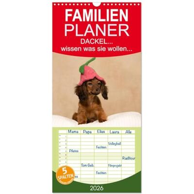 CALVENDO Familienplaner 2026 DACKEL... wissen was sie wollen... mit 5 Spalten (Wandkalender, 21 cm x 45 cm), : Frech, eigensinnig und liebenswert man muss sie einfach mögen! ( Tiere) CALVENDO Familienplaner 2026 DACKEL... wissen was sie wollen... mit 5 Spalten (Wandkalender, 21 cm x 45 cm), : Frech, eigensinnig und liebenswert man muss sie einfach mögen! ( Tiere)