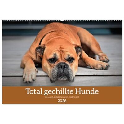 CALVENDO Total gechillte Hunde (Wandkalender 2026 DIN A2 quer), Monatskalender: Hundekalender mit gechillten Hunden ( Tiere) CALVENDO Total gechillte Hunde (Wandkalender 2026 DIN A2 quer), Monatskalender: Hundekalender mit gechillten Hunden ( Tiere)