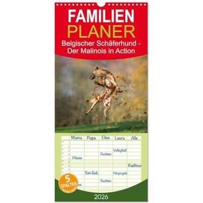 CALVENDO Familienplaner 2026 Belgischer Schäferhund Der Malinois in Action mit 5 Spalten (Wandkalender, 21 cm x 45 cm), : Der Kalender für Malinois-Freunde ( Tiere) CALVENDO Familienplaner 2026 Belgischer Schäferhund Der Malinois in Action mit 5 Spalten (Wandkalender, 21 cm x 45 cm), : Der Kalender für Malinois-Freunde ( Tiere)