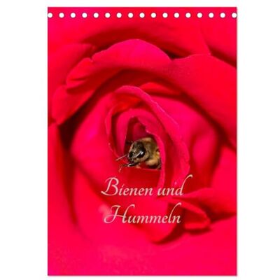 CALVENDO Bienen und Hummeln (Tischkalender 2026 DIN A5 hoch), Monatskalender: Bienen und Hummeln für das ganze Jahr ( Tiere) CALVENDO Bienen und Hummeln (Tischkalender 2026 DIN A5 hoch), Monatskalender: Bienen und Hummeln für das ganze Jahr ( Tiere)