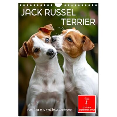 CALVENDO Jack Russel Terrier furchtlos und viel Selbstvertrauen (Wandkalender 2026 DIN A4 hoch), Monatskalender: Der Familienhund intelligent, lebhaft und munter. ( Tiere) CALVENDO Jack Russel Terrier furchtlos und viel Selbstvertrauen (Wandkalender 2026 DIN A4 hoch), Monatskalender: Der Familienhund intelligent, lebhaft und munter. ( Tiere)