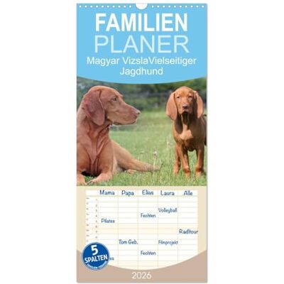 CALVENDO Familienplaner 2026 Magyar Vizsla Vielseitiger Jagdhund mit 5 Spalten (Wandkalender, 21 cm x 45 cm), : Kalender mit schönen Fotos der Hunderasse Magyar Vizsla ( Tiere) CALVENDO Familienplaner 2026 Magyar Vizsla Vielseitiger Jagdhund mit 5 Spalten (Wandkalender, 21 cm x 45 cm), : Kalender mit schönen Fotos der Hunderasse Magyar Vizsla ( Tiere)