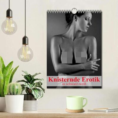 CALVENDO Knisternde Erotik in schwarz-weiß (Wandkalender 2026 DIN A4 hoch), Monatskalender: Ein erotischer Planer für ein sinnliches und knisterndes Jahr ( Erotik) CALVENDO Knisternde Erotik in schwarz-weiß (Wandkalender 2026 DIN A4 hoch), Monatskalender: Ein erotischer Planer für ein sinnliches und knisterndes Jahr ( Erotik)